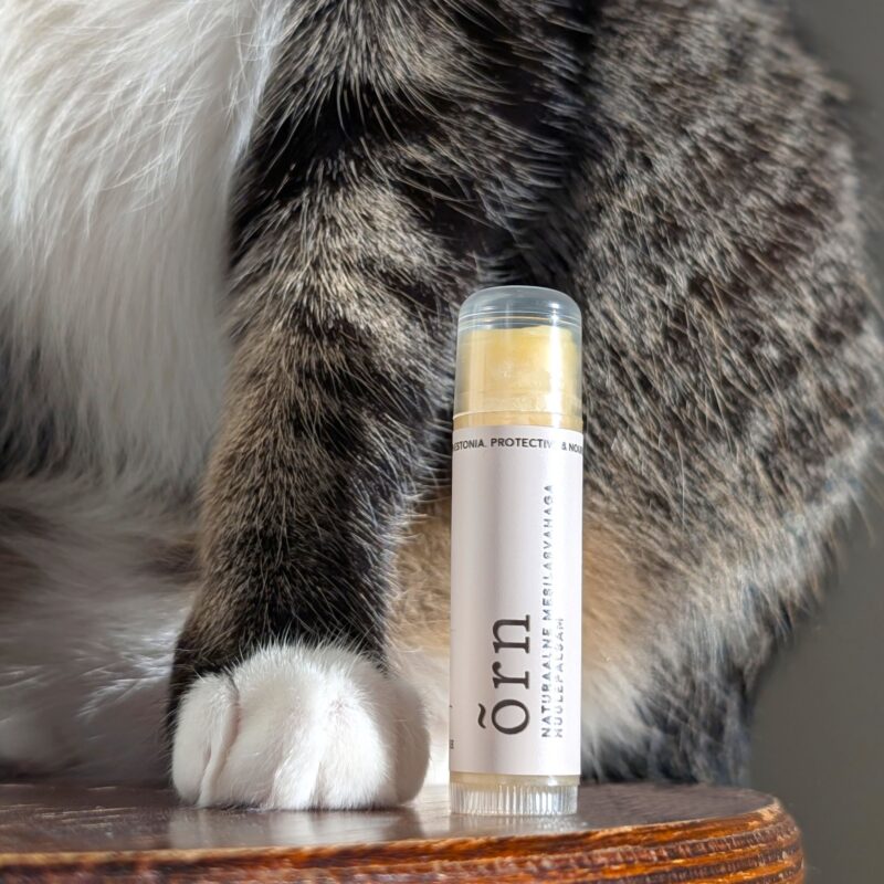 triibuline kass. huulepalsam.